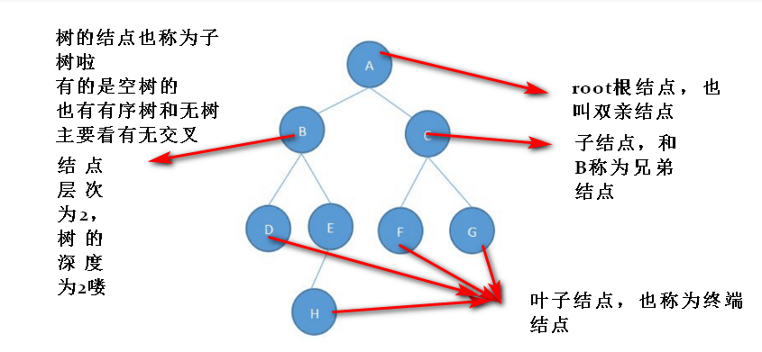 二叉樹的遍歷【和森林的遍歷】