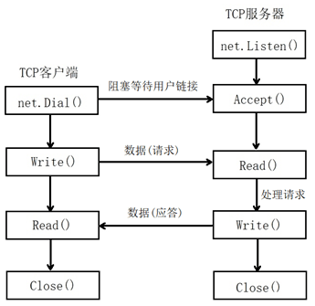 TCP的C/S架构