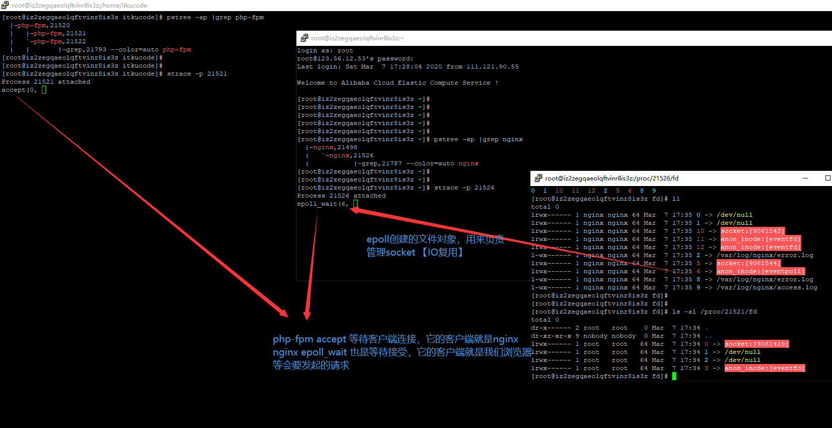 FPM 架構下執行一個 PHP 檔案後 nginx 如何與 PHP-FPM 程式管理器進行互動的 [硬核跟蹤資料互動]