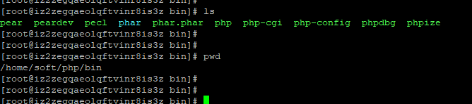 FPM 架構下執行一個 PHP 檔案後 nginx 如何與 PHP-FPM 程式管理器進行互動的 [硬核跟蹤資料互動]