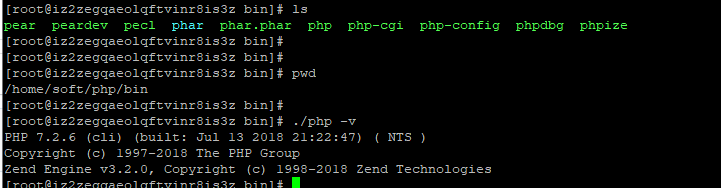 FPM 架構下執行一個 PHP 檔案後 nginx 如何與 PHP-FPM 程式管理器進行互動的 [硬核跟蹤資料互動]