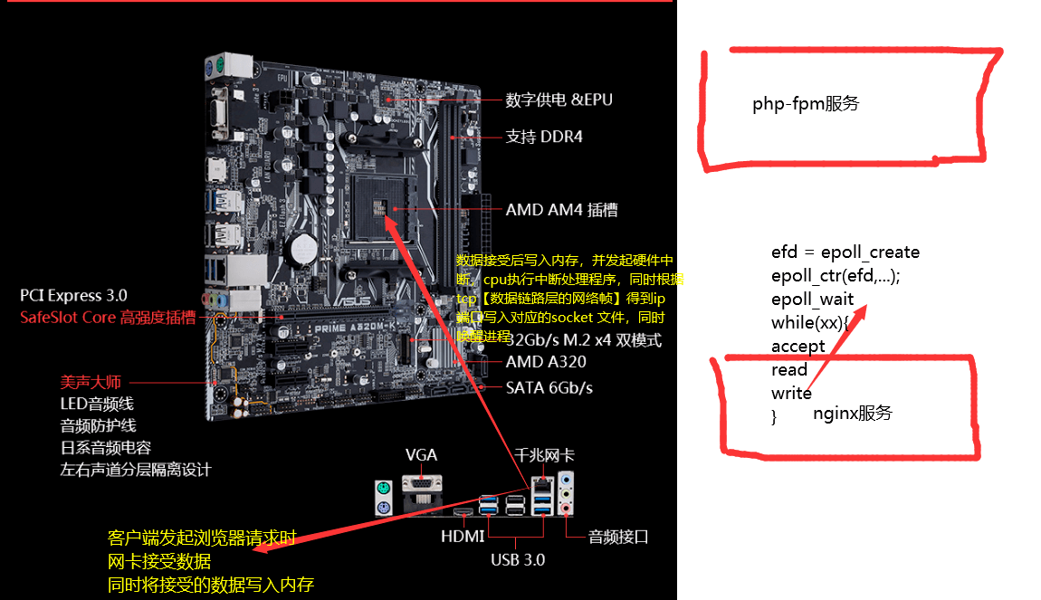 FPM 架構下執行一個 PHP 檔案後 nginx 如何與 PHP-FPM 程式管理器進行互動的 [硬核跟蹤資料互動]