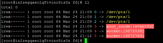 玩轉 PHP 網路程式設計全套之二客戶端