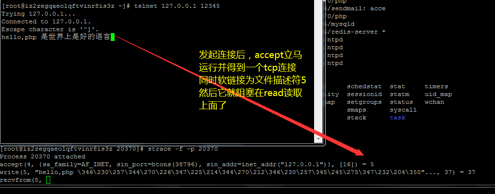 玩轉 PHP 網路程式設計全套之二客戶端