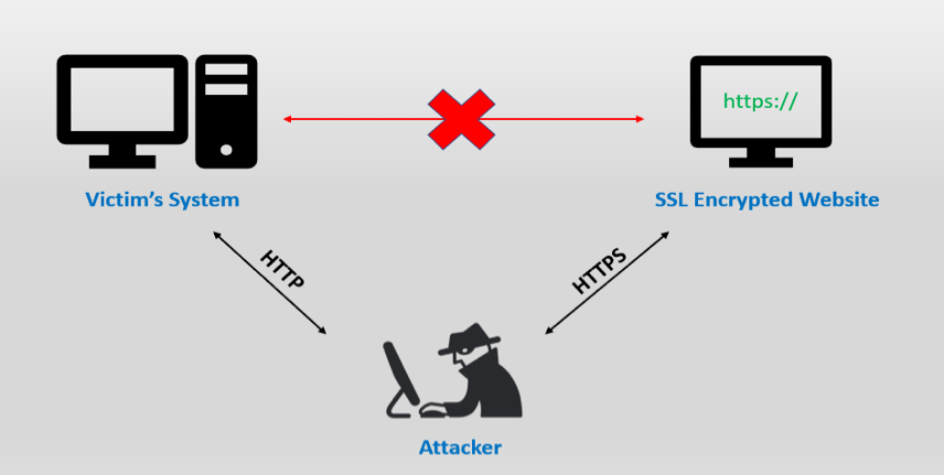 “剥离” SSL 原理图