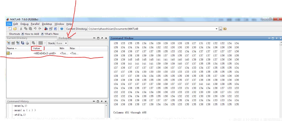 如何在 vscode 中打开想 matlab workspace 那样的变量监视窗口？