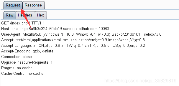 CTFHub web前置技能HTTP协议请求方式