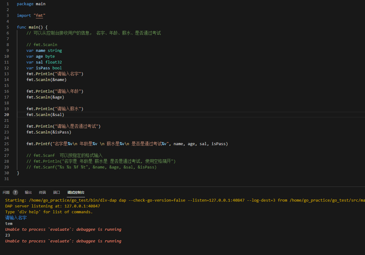 vscode使用fmt.Scanln报异常Unable to process `evaluate`: debuggee is running