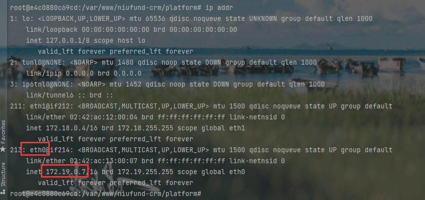 laradock 查看本机ip 及websocket  本地浏览器访问不到的问题