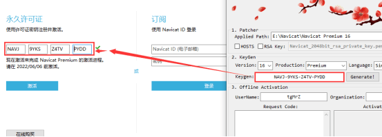 Navicat Premium 16 下载与安装破解教程（详细教程）