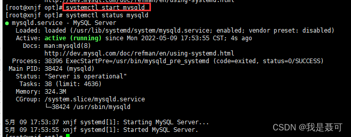 Linux下最新版MySQL 8.0的下载与安装（详细步骤）