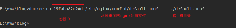 docker 安装nginx + php
