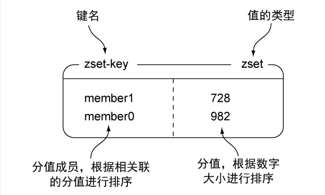 Redis的常用命令和数据结构