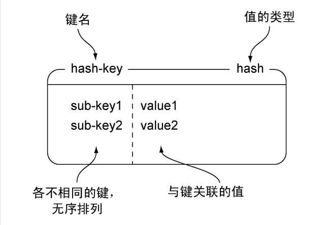 Redis的常用命令和数据结构